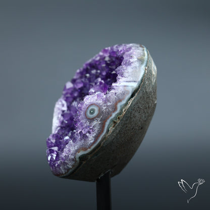 Deep Purple Amethyst Druzy Cluster Specimen with Stand