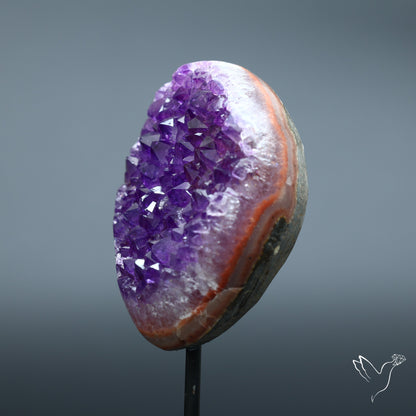 Amethyst Druzy Cluster Specimen with Stand Deep Purple