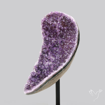 Amethyst Druzy Cluster Specimen Deep Purple with Stand
