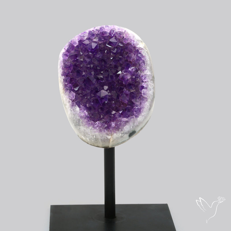 Amethyst Druzy Cluster Specimen Deep Purple with Stand