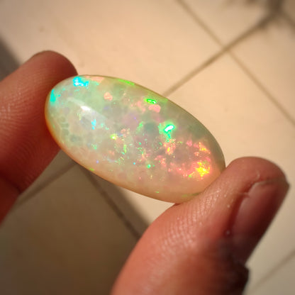 Rare Large Ethiopian Welo Opal Cabochon