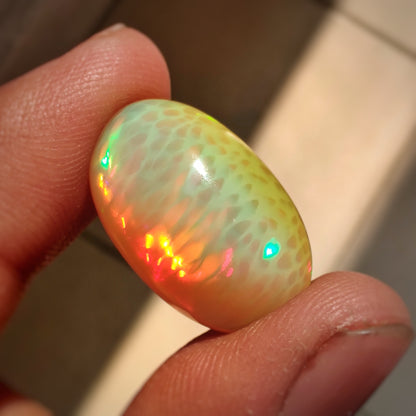 AAA Rare Pattern Large Ethiopian Welo Opal Cabochon