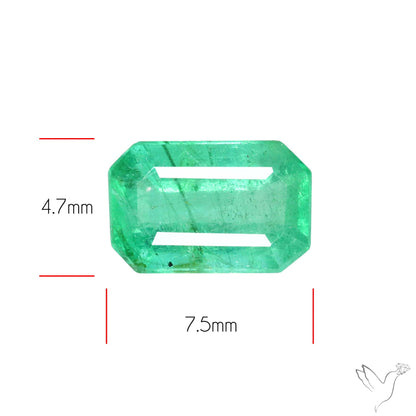 Zambian Emerald Faceted