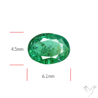 Zambian Emerald Faceted