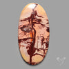 Atlas Mountain Jasper Cabochon Large Sized