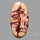 Atlas Mountain Jasper Cabochon Large Sized