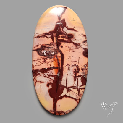 Atlas Mountain Jasper Cabochon Large Sized