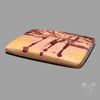 Atlas Mountain Jasper Cabochon Large Sized