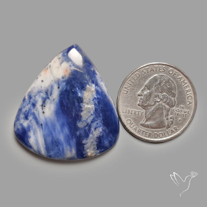 Sodalite Cabochon