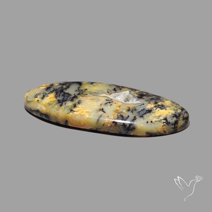 Australian Yellow Dendritic Agate Cabochon