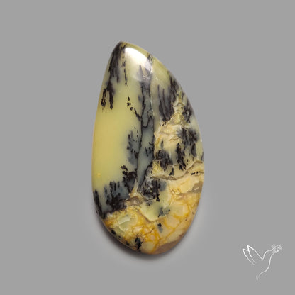 Australian Yellow Dendritic Agate Cabochon