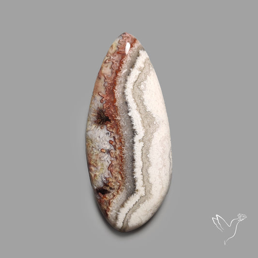 Crazylace Agate Cabochon