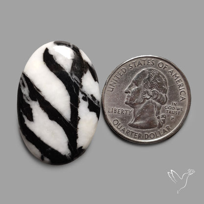 White Buffalo Turquoise Cabochon