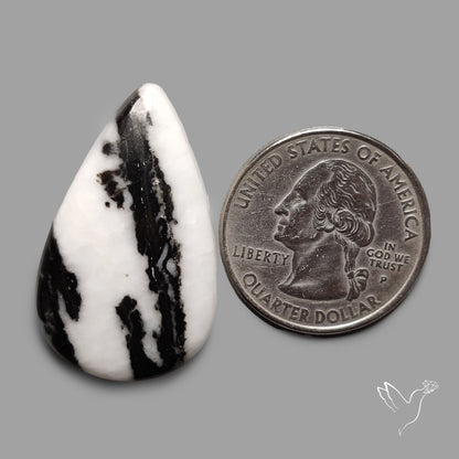 White Buffalo Turquoise Cabochon