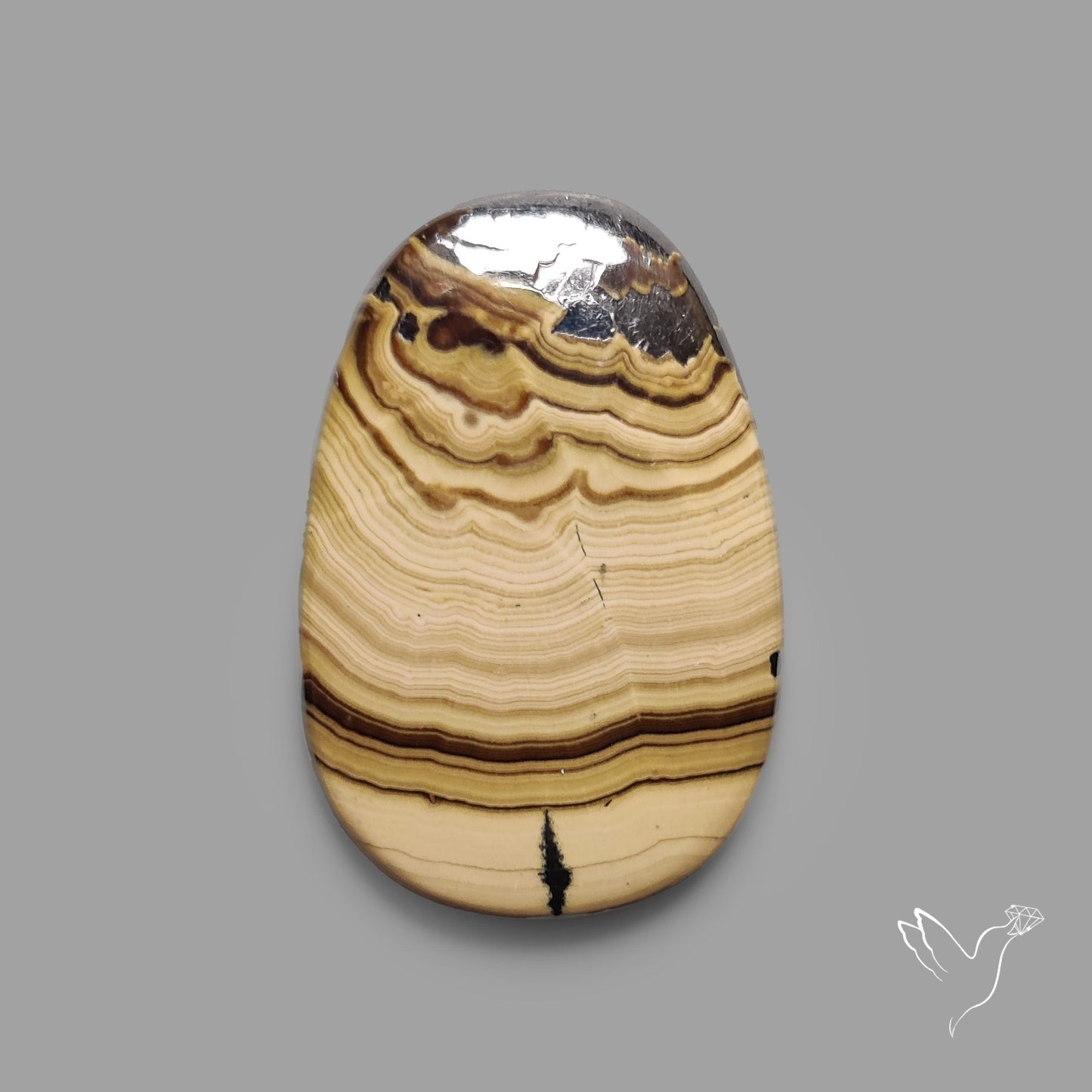 Schalenblende Cabochon