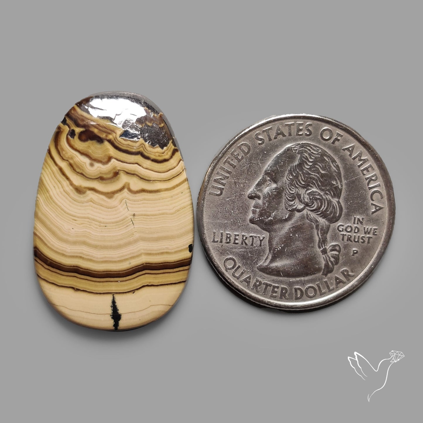 Schalenblende Cabochon