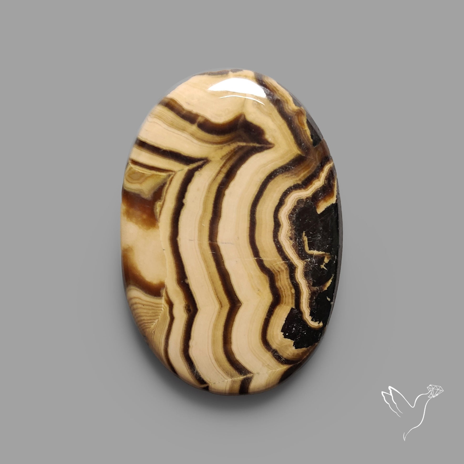 Schalenblende Cabochon
