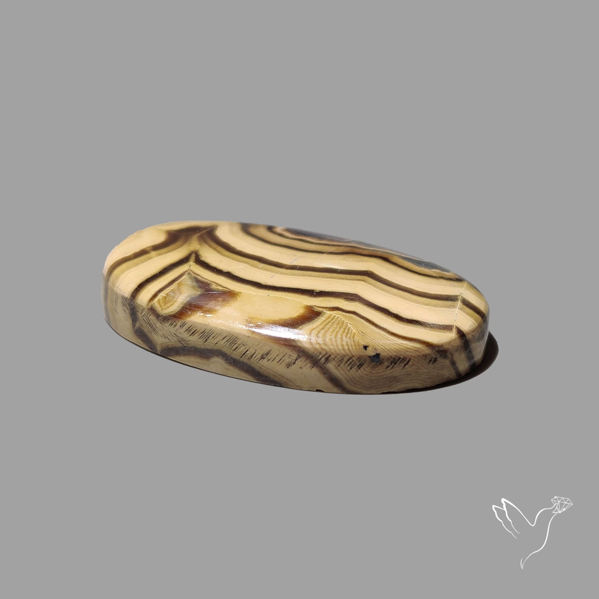 Schalenblende Cabochon