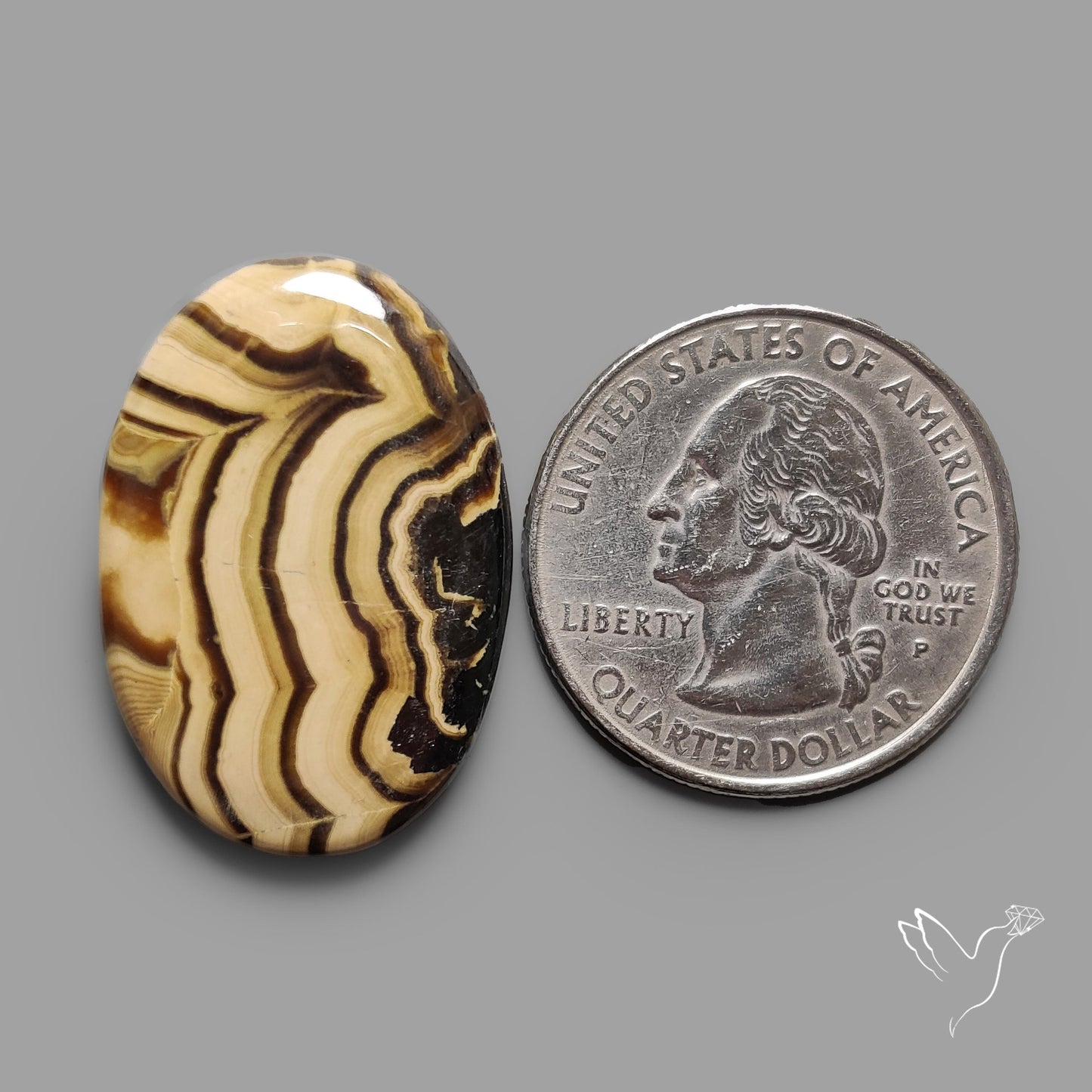 Schalenblende Cabochon