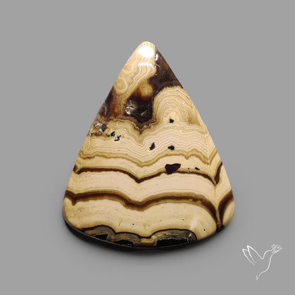 Schalenblende Cabochon