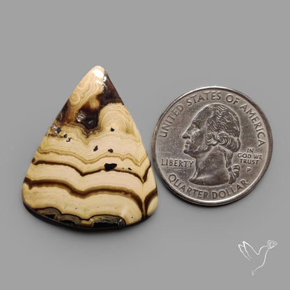 Schalenblende Cabochon