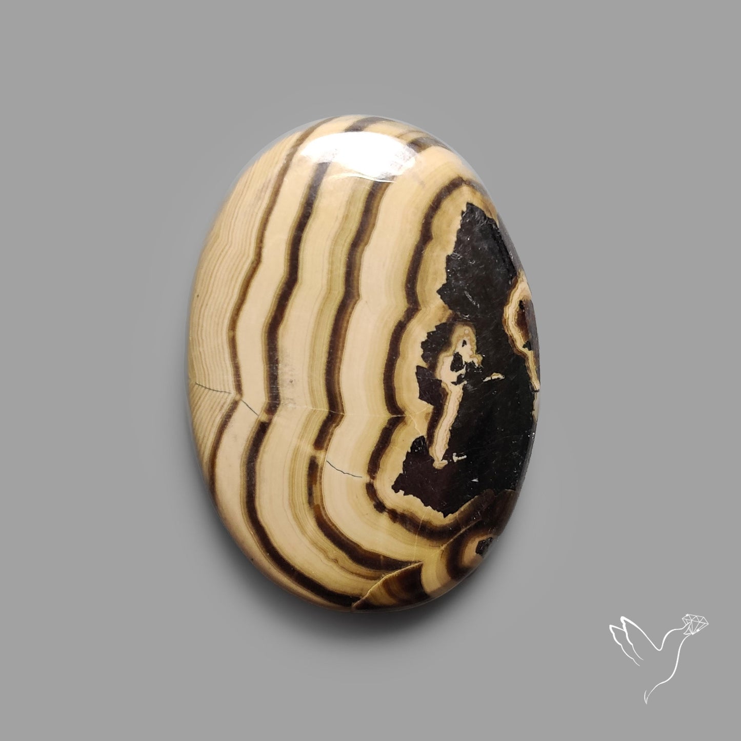 Schalenblende Cabochon