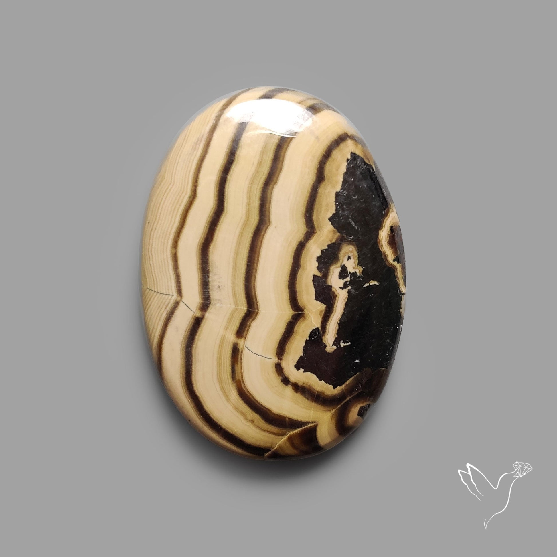 Schalenblende Cabochon