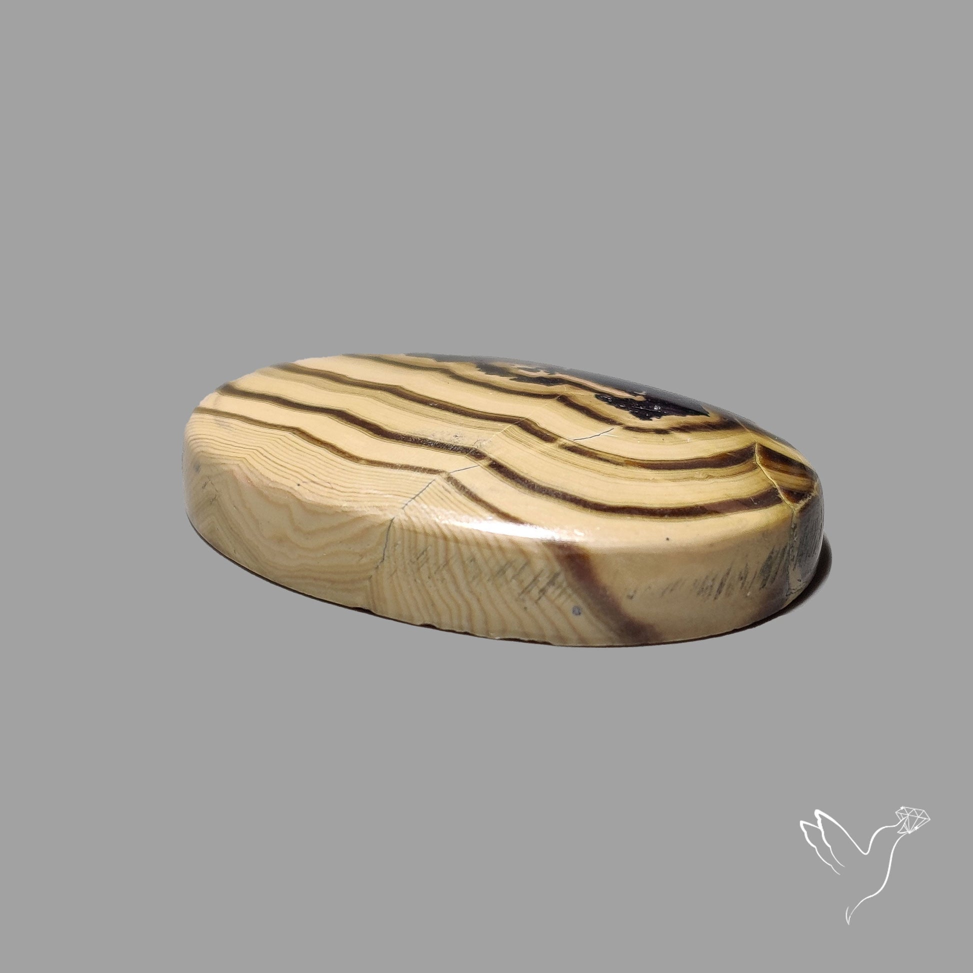 Schalenblende Cabochon