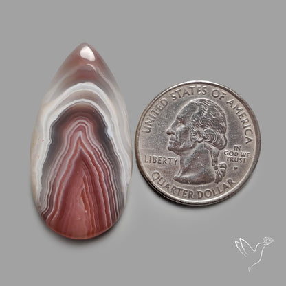 Botswana Agate Cabochon