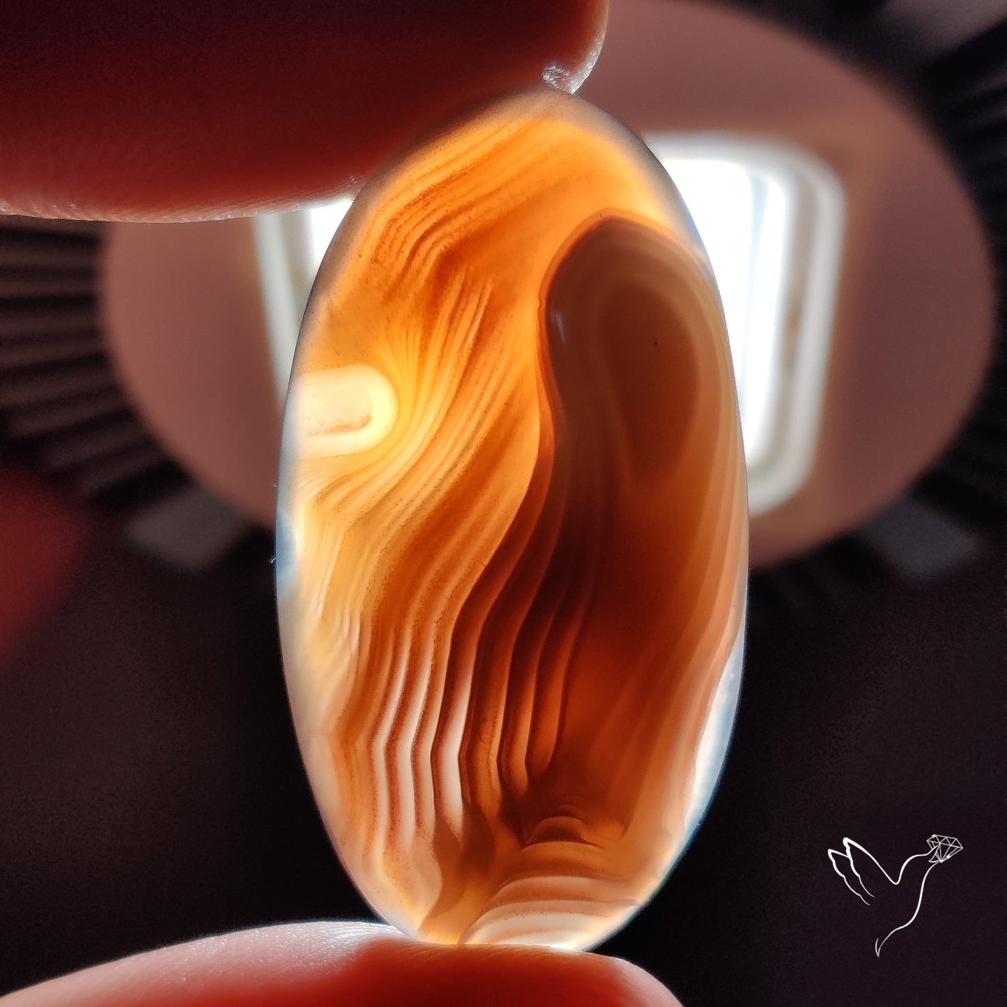 Botswana Agate Cabochon