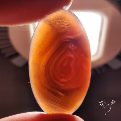 Botswana Agate Cabochon