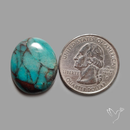 Congo Shattuckite Cabochon