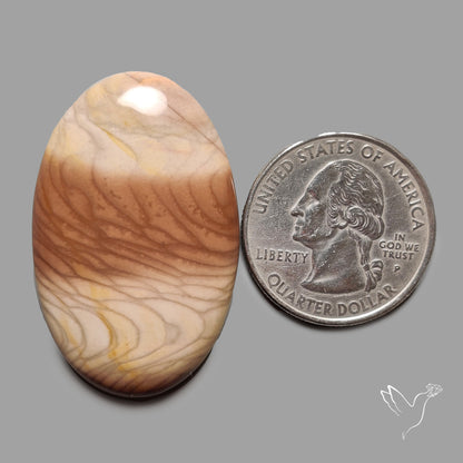 Bruneau Jasper Cabochon Selected