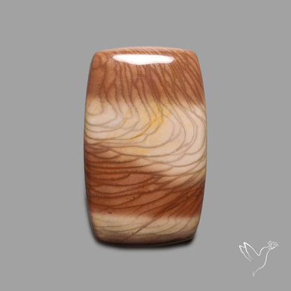 Bruneau Jasper Cabochon Selected