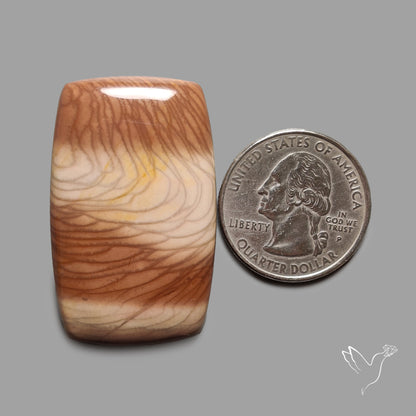 Bruneau Jasper Cabochon Selected