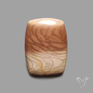 Bruneau Jasper Cabochon Selected