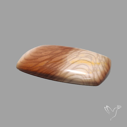 Bruneau Jasper Cabochon Selected
