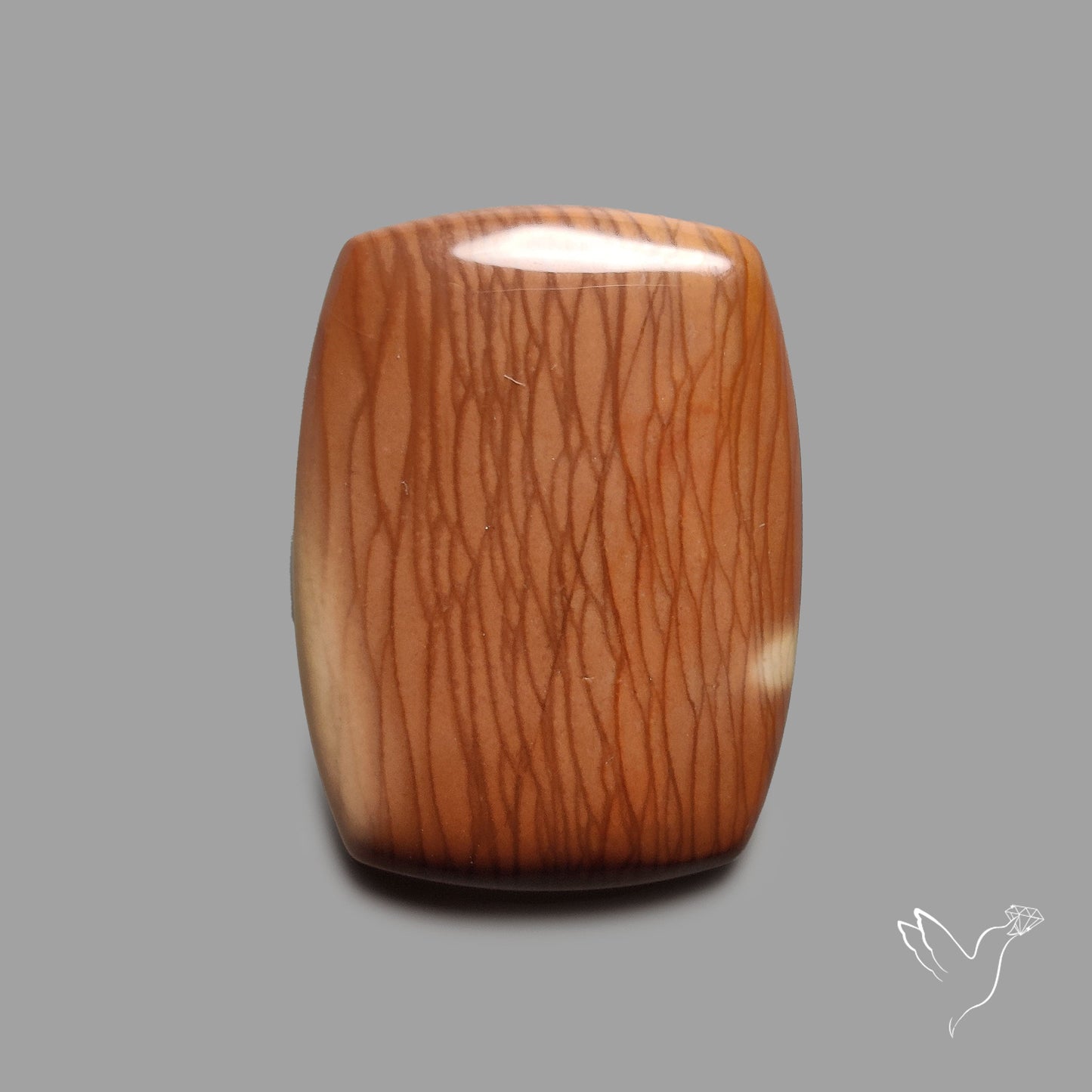 Bruneau Jasper Cabochon Selected