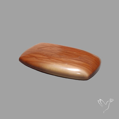 Bruneau Jasper Cabochon Selected