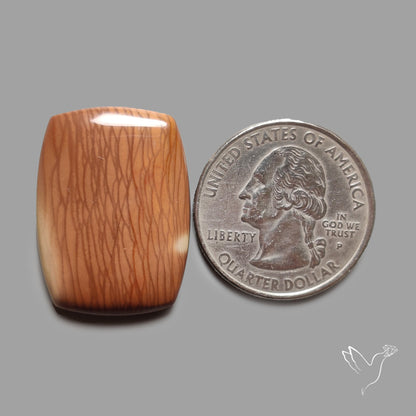 Bruneau Jasper Cabochon Selected