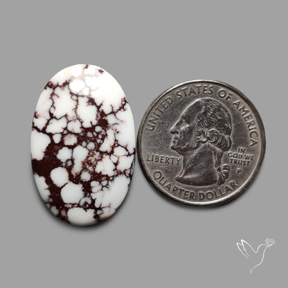 Wild Horse Jasper Cabochon