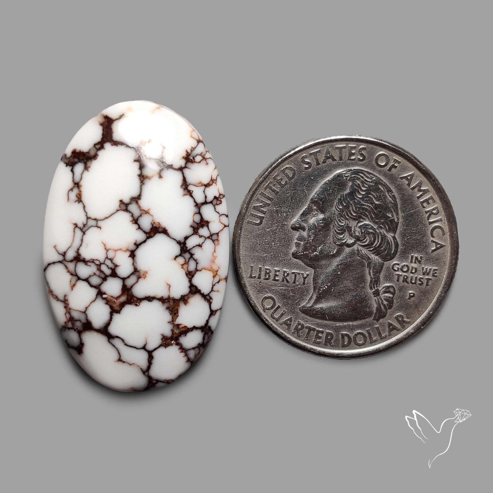 Wild Horse Jasper Cabochon