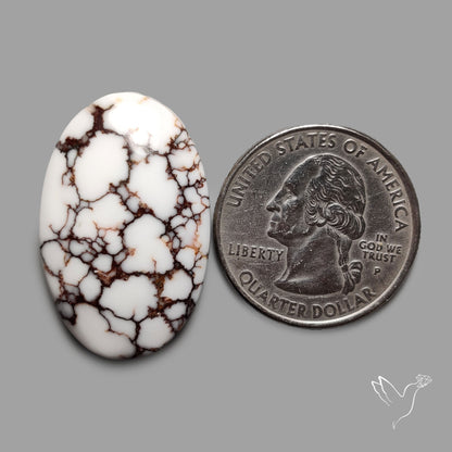 Wild Horse Jasper Cabochon