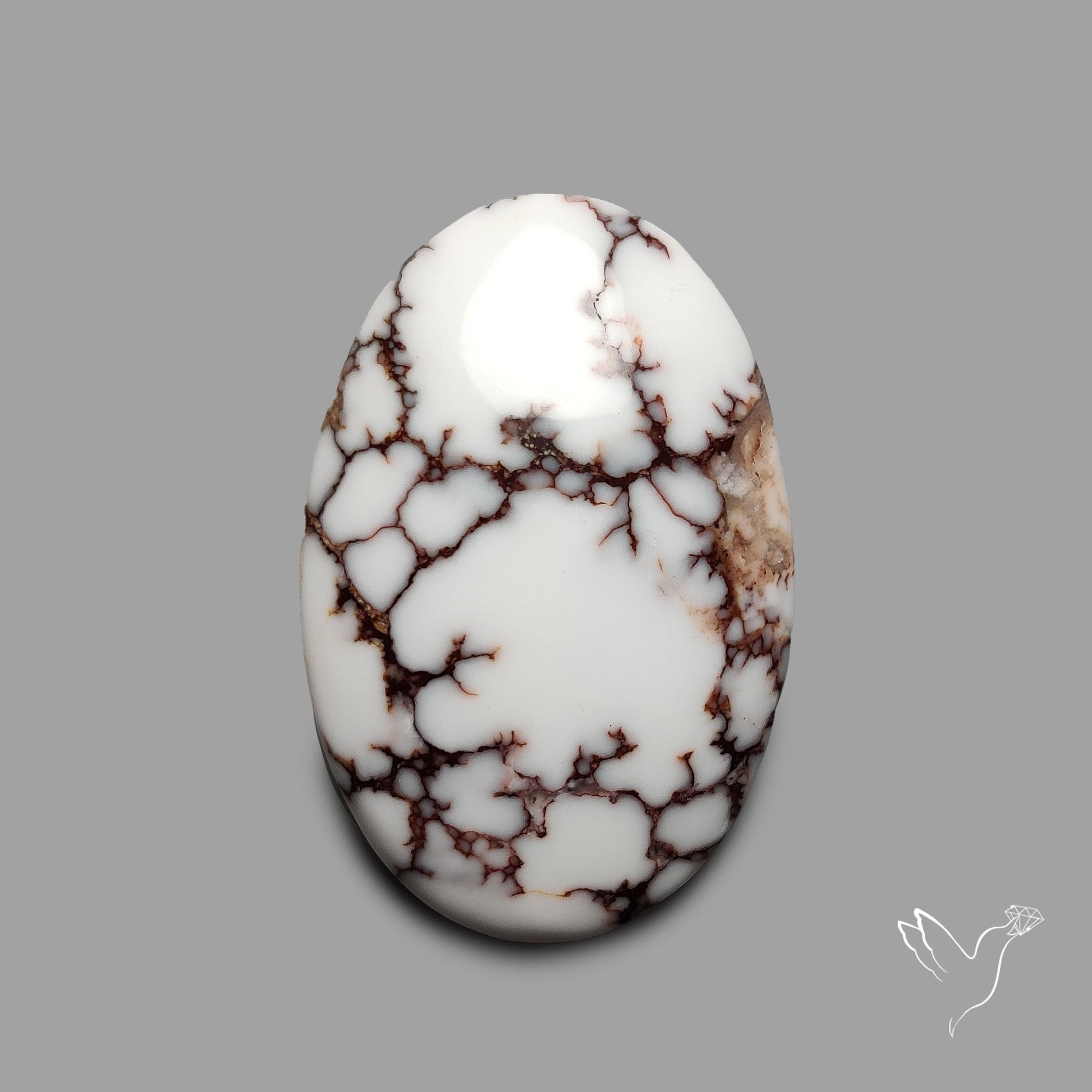 Wild Horse Jasper Cabochon