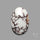Wild Horse Jasper Cabochon