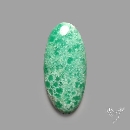 Australian Variscite Cabochon
