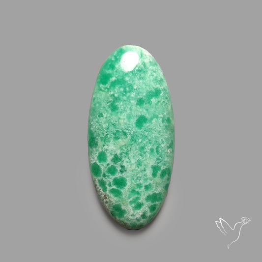 Australian Variscite Cabochon