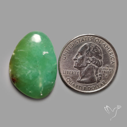Boulder Chrysoprase Cabochon