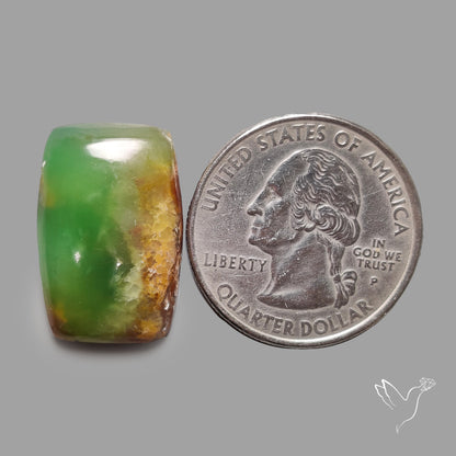Boulder Chrysoprase Cabochon
