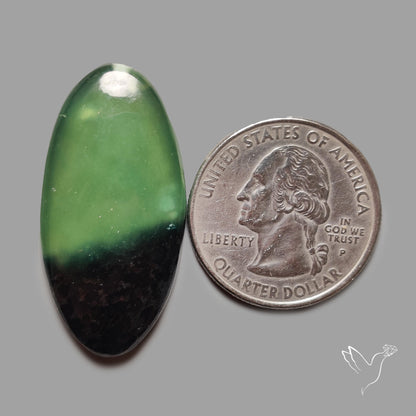 Bi-Color Serpentine Cabochon